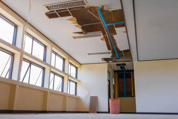 Best Mold removal after water damage  in Spring City, TN