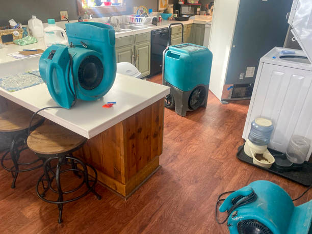 Best Flood damage cleanup  in Spring City, TN