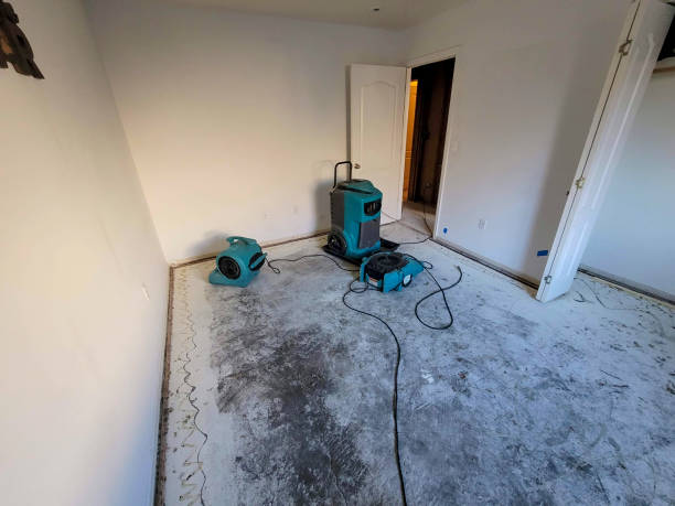 Best Professional water damage repair  in Spring City, TN