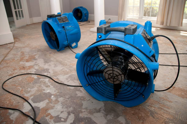 Best Ceiling water damage repair  in Spring City, TN