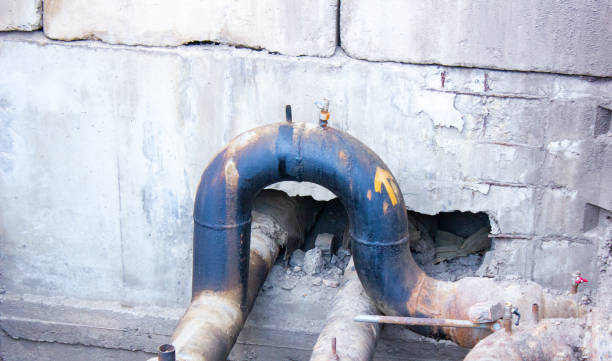 Best Carpet water damage restoration  in Spring City, TN