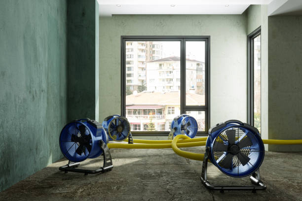 Best Water damage restoration company  in Spring City, TN